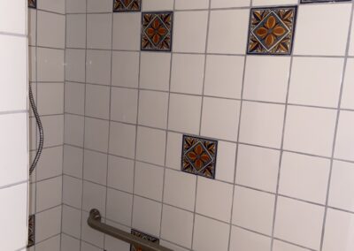 Elderhelp - Seeker Shower
