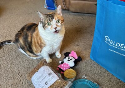 Elderhelp - Barbara Dolan Cat Bonnie 2