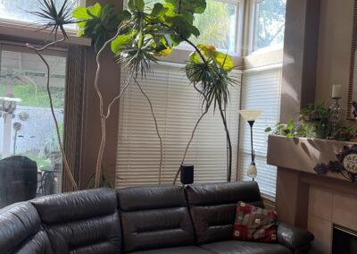 Elderhelp - IMG 2419