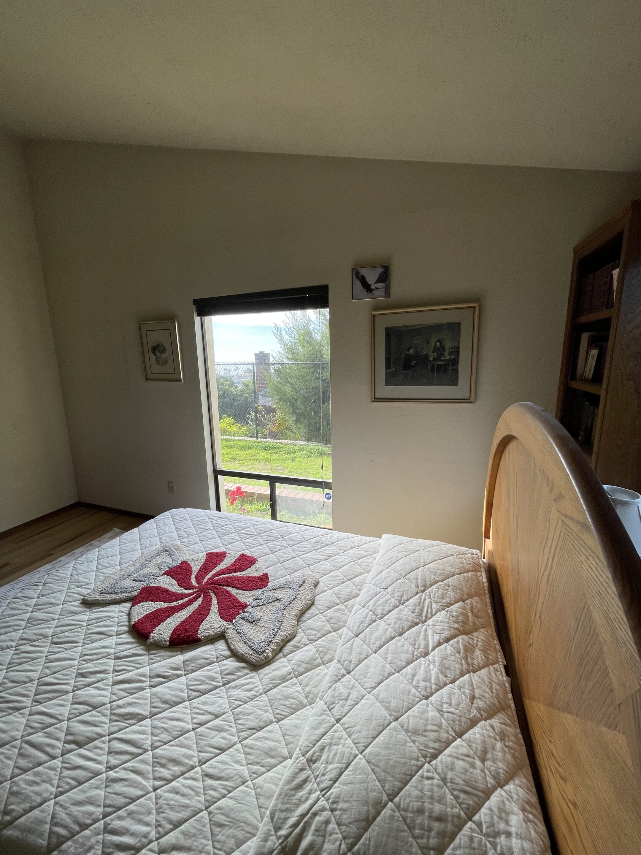 Elderhelp - NE seeker bedroom scaled