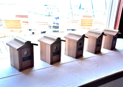 Elderhelp - DSC 3105