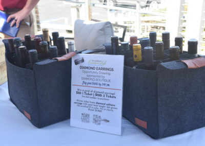 Elderhelp - DSC 3125