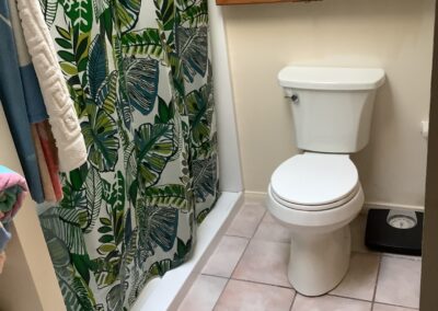 Elderhelp - TH bathroom