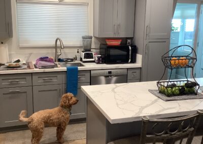 Elderhelp - Kitchen 1