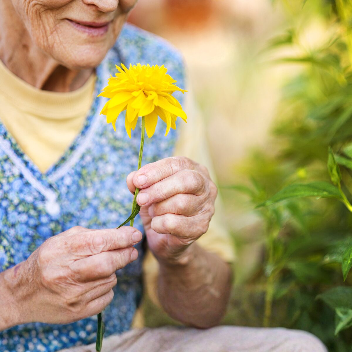 Senior in Garden Square