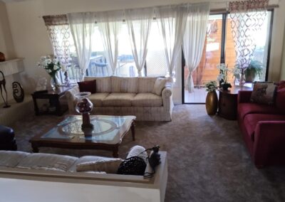 Elderhelp - BW living room