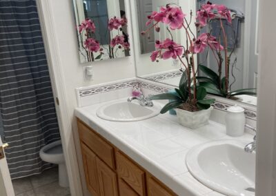 Elderhelp - CJBathroom1