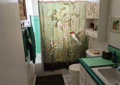 Elderhelp - Ek Shower 1